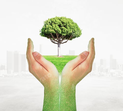 Preview: Abstract Hands Holding Green Tree On City Background. Protection Concept