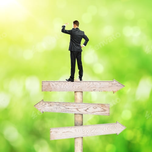 Preview: Businessman Standing On Abstract Wooden Road Sign. Bright Green Background. Different Direction