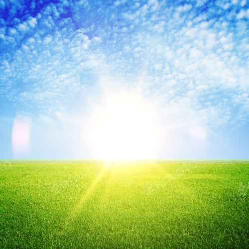 Preview: Fresh Green Grass And Blue Sky