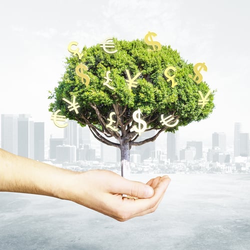 Preview: Conceptual Money Tree in Hand with City Background