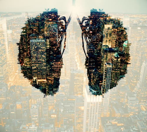 Preview: Abstract Human Lungs On Night City Background. Environment And Health Concept. Double Exposure