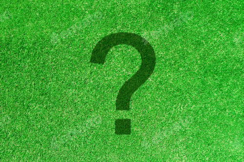 Preview: Green Grass Background And Question Mark