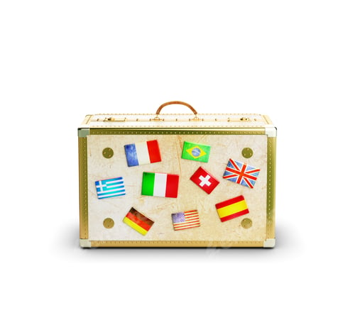 Preview: Leather Suitcase With Many Flags On White Background