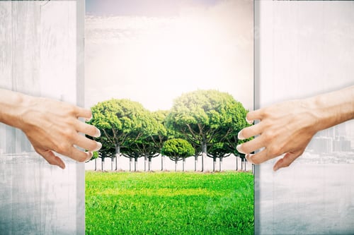 Preview: Hands Opening Abstract Wooden Doors, Revealing Green Landscape View. Nature Concept