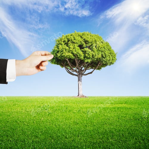 Preview: Hand Puts A Tree In Forest