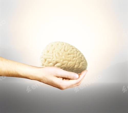 Preview: Male Hand Holding Brain On Light Background