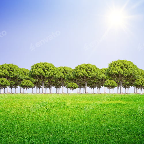 Preview: Green Field, Trees And Blue Sky Background