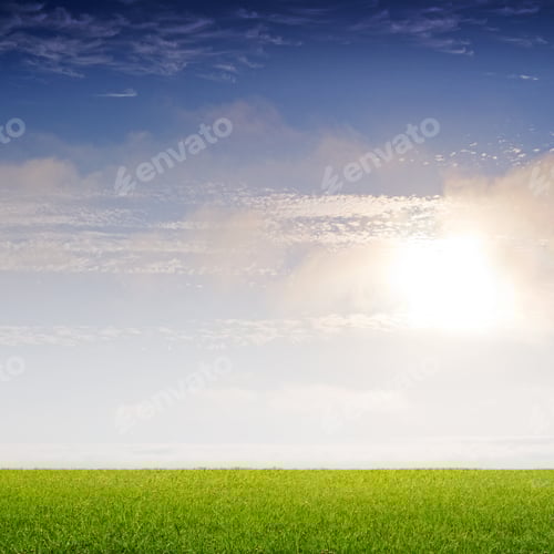 Preview: Fresh Green Field And Blue Sky Background