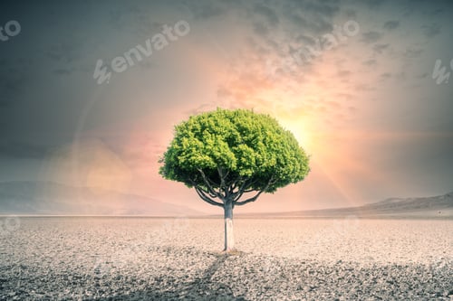 Preview: Creative Green Tree In The Middle Of Desert. Success Concept