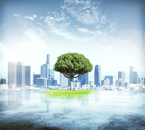 Preview: Abstract Tree On City Background. Success And Development Concept. 3D Rendering