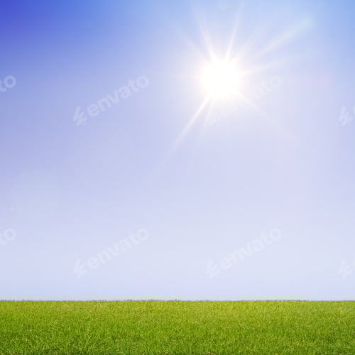 Preview: Fresh Green Grass And Sun In Sky
