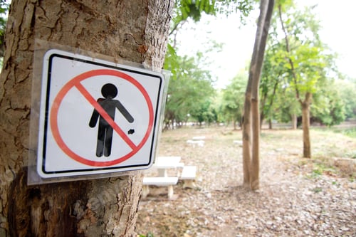 Preview: Do Not Litter Sign In The Park