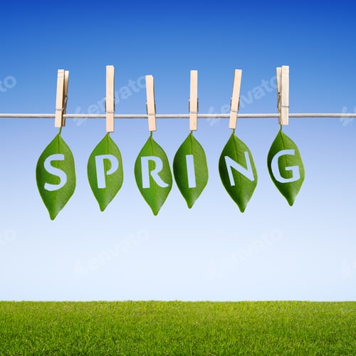 Preview: Leaf Impaled On A Rope, Spring Concept