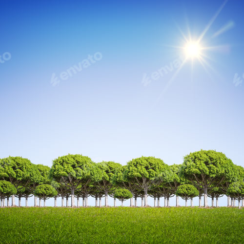 Preview: Green Field, Trees And Blue Sky Background
