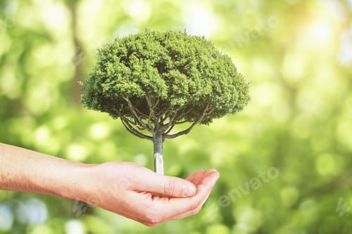 Preview: Growth Concept With Hand Holding A Tree