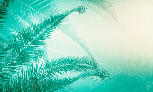 Preview: Creative Blurry Palm Tree Texture With Leaves. Subtle, Nature And Nature Concept