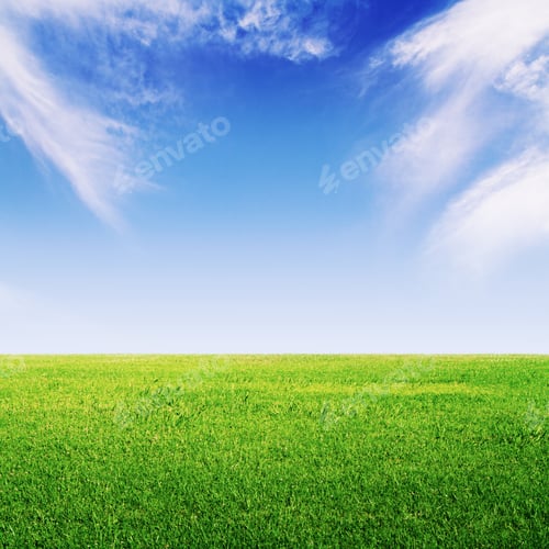 Preview: Fresh Green Grass And Blue Sky Background