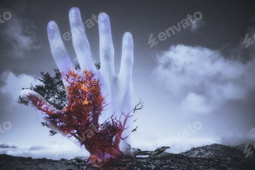 Preview: Abstract Hand Silhouette And Red Tree On Sky Background. Horror Concept. Double Exposure