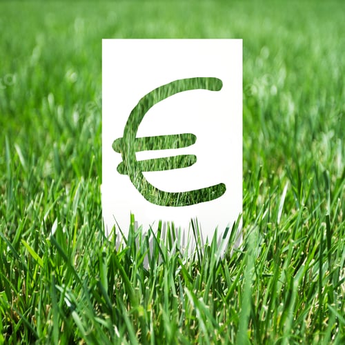 Preview: Paper With Euro Symbol On Green Grass
