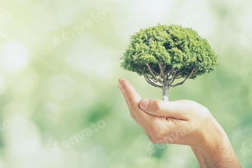 Preview: Male Hand Holding Tree On Blurry Green Outdoor Bokeh Background. Eco Safety Concept