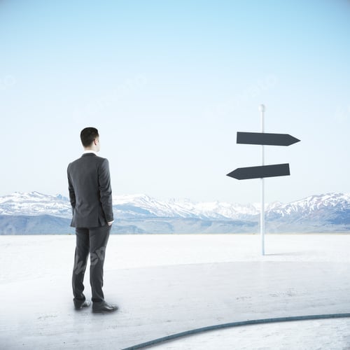 Preview: Businessman Standing On Road And Looking On Empty Blank Sign Post. Concept Of Choice And Challenge