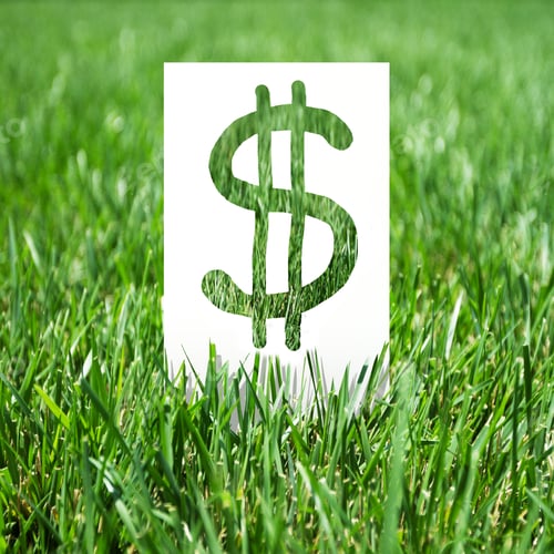 Preview: Paper With Dollar Symbol On Green Grass