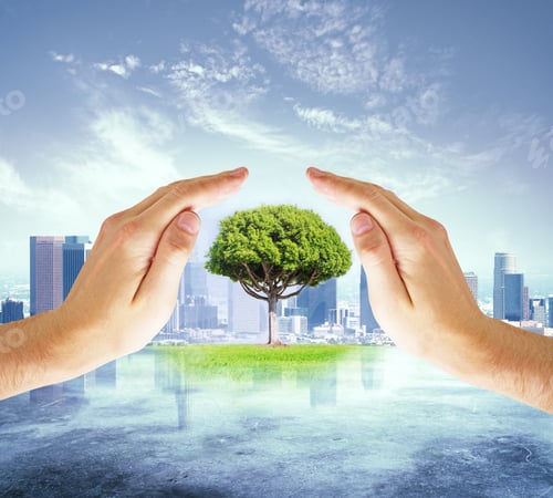 Preview: Hands Protecting Green Tree On Abstract City Background. Safety And Protection Concept