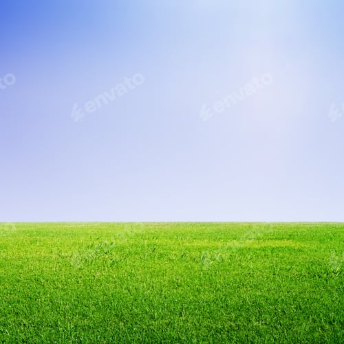 Preview: Fresh Green Grass And Blue Sky Background