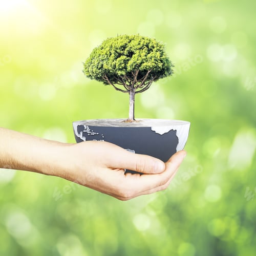 Preview: Male Hand Holding Half A Globe With Large Tree On Abstract Background. Green Earth Concept