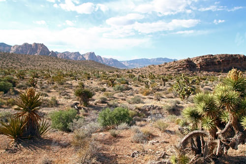 Preview: Nevada Desert With Mountains On Background