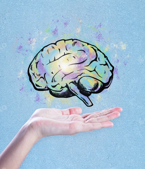 Preview: Hand Holding Brain Sketch On Blue Background. Brainstorming And Art Concept
