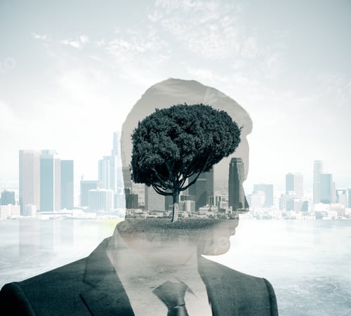 Preview: Businessman Silhouettes Thinking About Ecology On Abstract City Background. Double Exposure
