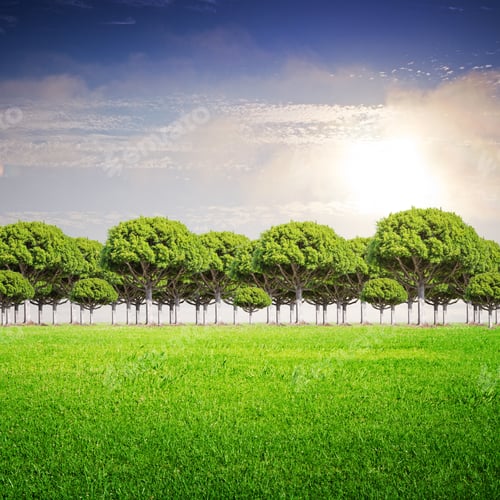 Preview: Green Field, Trees And Blue Sky Background