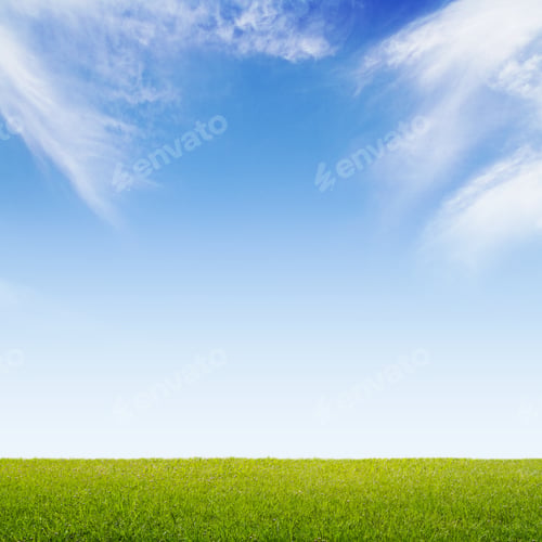 Preview: Fresh Green Grass And Blue Sky Background