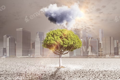 Preview: Abstract Image Of Small Cloud Above Green Tree Growing Out Of Concrete Ground In City. Persistence