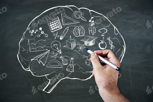 Preview: Creative Brain Outline With Educational Sketch On Chalkboard Background. Knowledge And Brainstorm