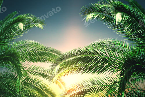 Preview: Creative Palm Tree Foliage Background On Beach Sky Backdrop