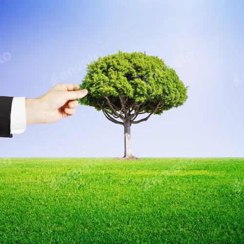 Preview: Hand Puts A Tree In Forest