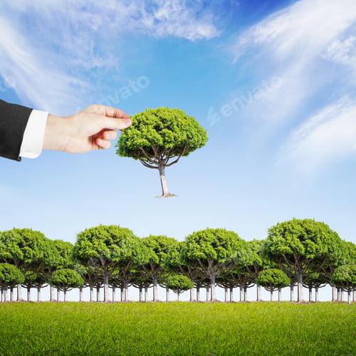 Preview: Hand Puts A Tree In A Forest
