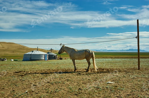 Preview: Sands Mongol Els, Mongol Yurt In Mongolia