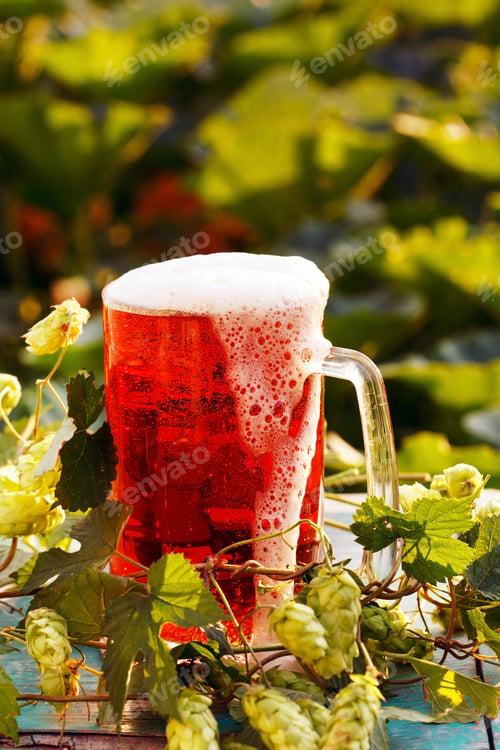 Preview: Hops With Beer