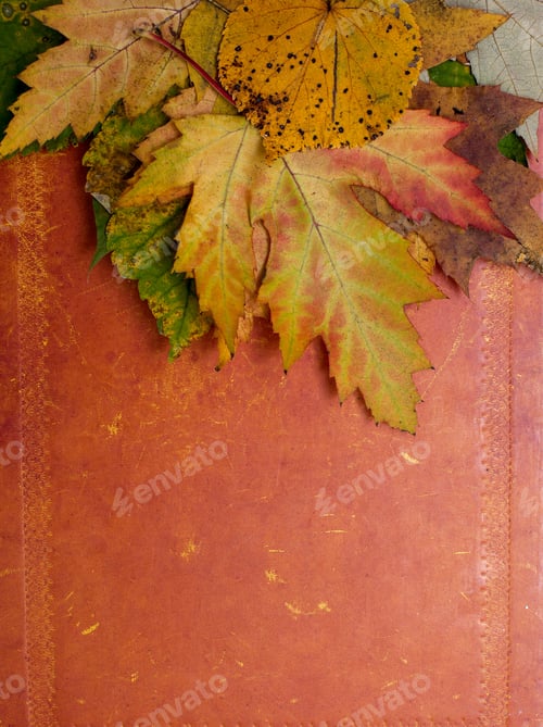 Preview: Autumn Leafs On Rustic Paper Surface