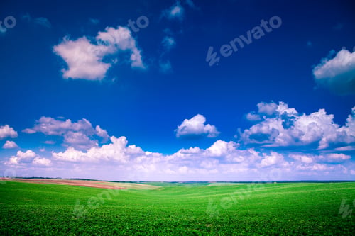 Preview: Green Grass Under Blue Sky