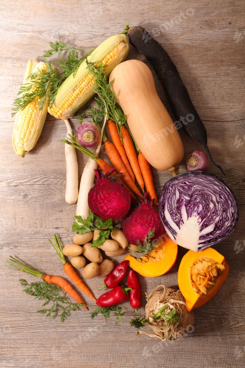 Variety of colorful freshly harvested vegetables