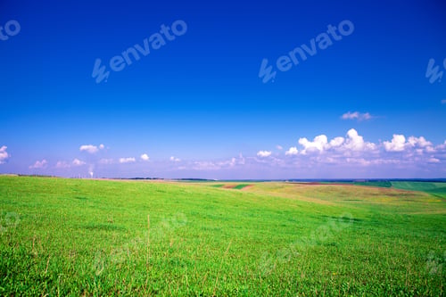 Preview: Green Field And Beautiful Sunset