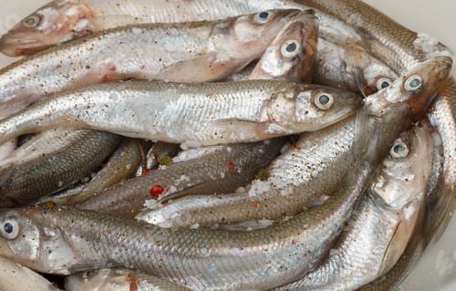 Preview: Fresh Smelt For Frying With Spices. Small Fish. Selective Focus