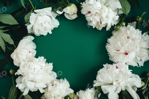 Preview: Frame Wreath Of White Peony Flowers, Branches, Leaves And Petals With Space For Text On Green