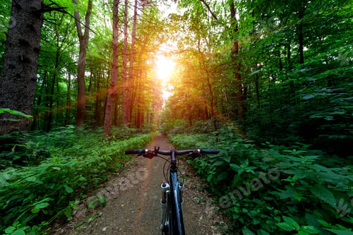 Preview: Riding On Big Speed On Bicycle On Stairs In Park