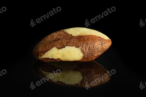 Preview: One Whole Raw Brown Brazil Nut Isolated On Black Glass