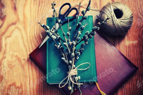 Preview: Willow Branches On The Book